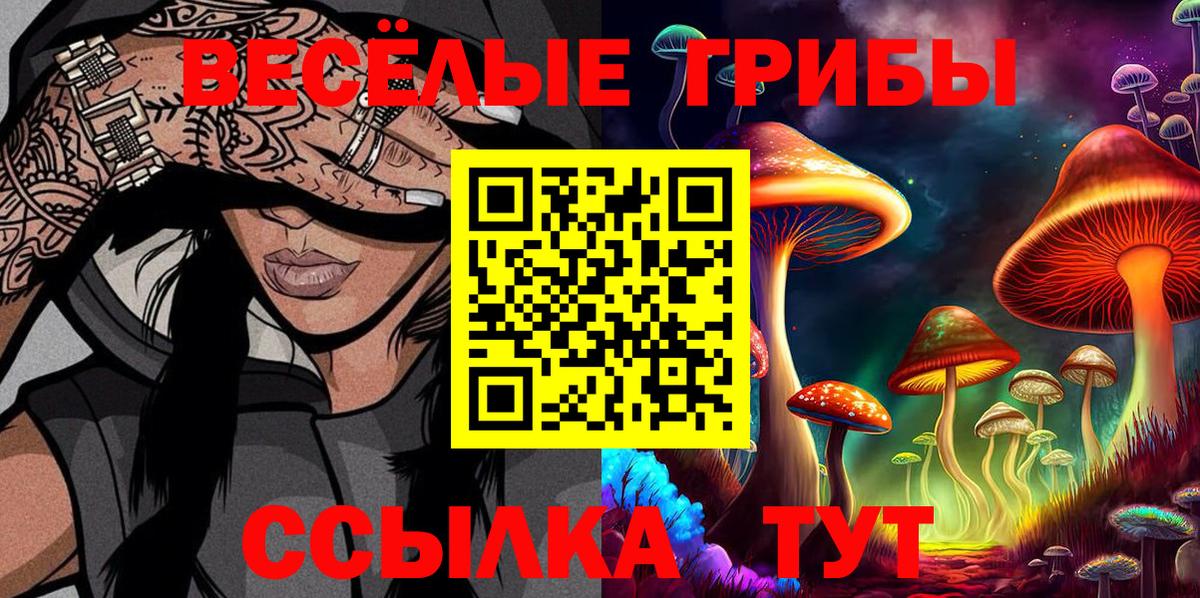 Псилоцибиновые грибы Psilocybe  Вход с VPN  Всеволожск 