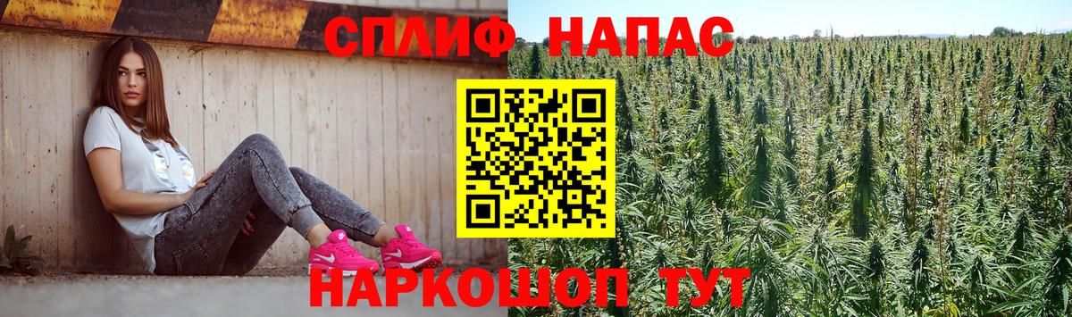 Конопля планчик  Марихуана Amnesia  Вход с VPN  Всеволожск  Бошки марихуана тримм 